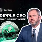 Ripple CEO Expects 100% Surge In Crypto Market Cap to $5 Trillion In 2024