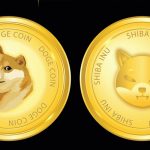 Why Is The Dogecoin And Shiba Inu Price Swimming In Red Today?